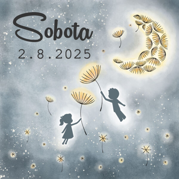 Vstupenka na SOBOTU (2.8.2025) - Víno pod hviezdami 2025