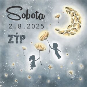 ZŤP Vstupenka na SOBOTU (2.8.2025) - Víno pod hviezdami 2025