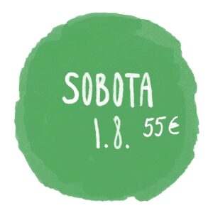 Vstupenka na SOBOTU (1.8.2026) - Víno pod hviezdami 2026